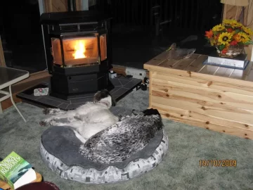 [Hearth.com] new stove, new dog...LOL