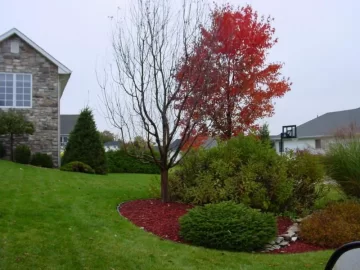 [Hearth.com] Flowering crabapple