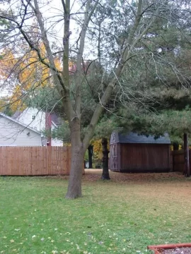 [Hearth.com] Flowering crabapple