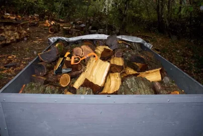 [Hearth.com] Another Craigslist Score--Two Cords of Free Black Locust!