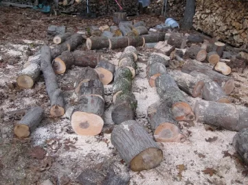 [Hearth.com] Found some log length in small loads