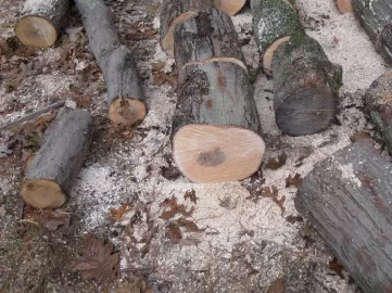 [Hearth.com] Found some log length in small loads