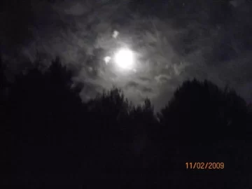 [Hearth.com] The Moon Tonight above the White Pines