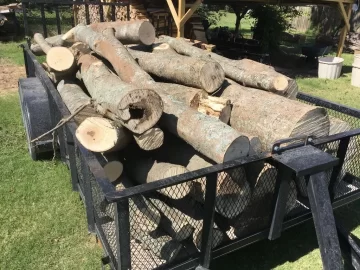 [Hearth.com] Got more wood than I can shake a stick at