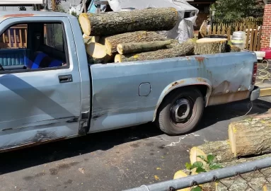 [Hearth.com] Red Oak score and the new shed