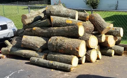 [Hearth.com] Red Oak score and the new shed