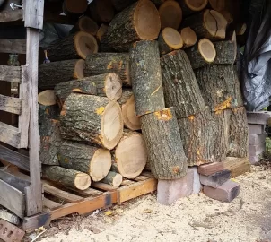 [Hearth.com] Red Oak score and the new shed