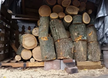 [Hearth.com] Red Oak score and the new shed