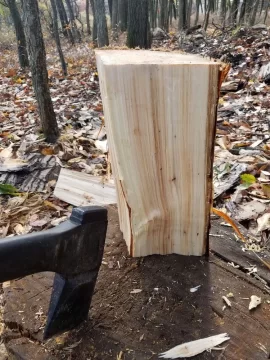 [Hearth.com] Firewood identification help please