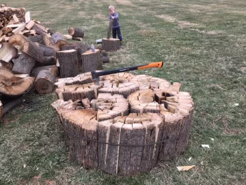 [Hearth.com] Tulip poplar musings