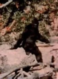 [Hearth.com] bigfoot sighting