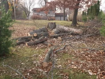 [Hearth.com] Wood Pile Problems with a Twist