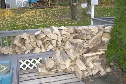 [Hearth.com] Just felled a dead ash behind my shed