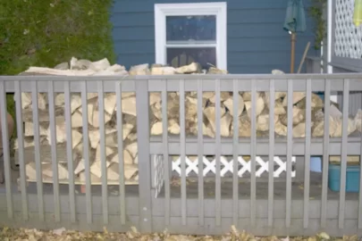 [Hearth.com] Just felled a dead ash behind my shed