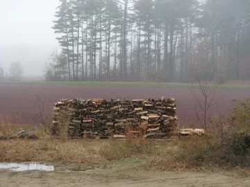 [Hearth.com] New woodpile for next year!