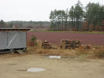 [Hearth.com] New woodpile for next year!