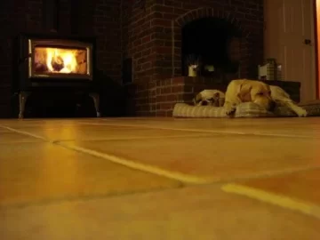 [Hearth.com] think they enjoy the woodstove?