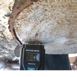 [Hearth.com] Can moisture meter be used on end grain of a fresh cut round with any accuracy?