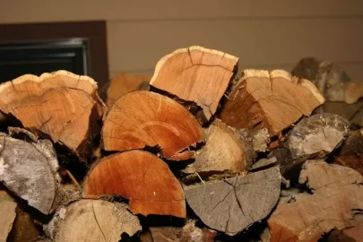 [Hearth.com] firewood facts