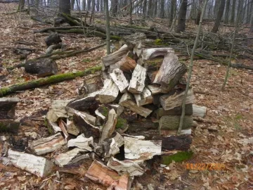 [Hearth.com] Old Hard Maple