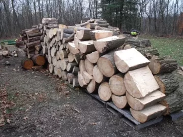 [Hearth.com] cutting firewood