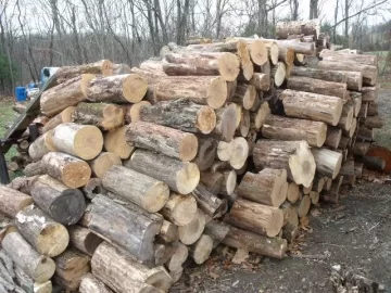 [Hearth.com] cutting firewood