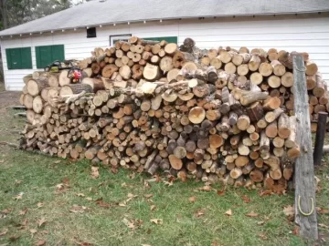 [Hearth.com] cutting firewood