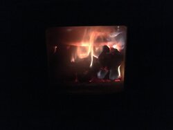 Wood Coals Pic