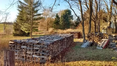 [Hearth.com] Yippee! Getting ready for first burns for our KQ 380 and Jotul F55