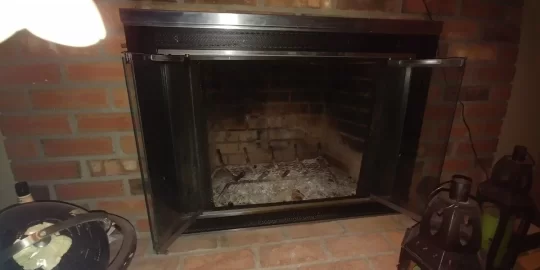 [Hearth.com] Wood Insert or Freestanding Stove