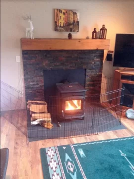 [Hearth.com] Wood Insert or Freestanding Stove