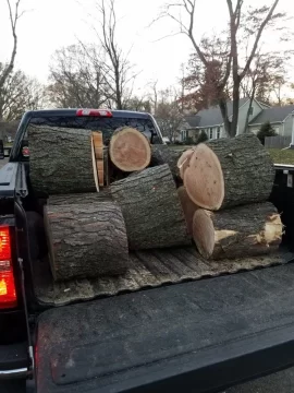 [Hearth.com] Honey Locust. Wow!