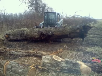 [Hearth.com] Firewood processing setup... Let's see/hear yours!