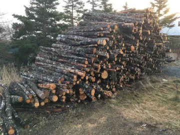 [Hearth.com] How do you get to your firewood?