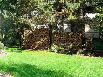 [Hearth.com] My Firewood Haul