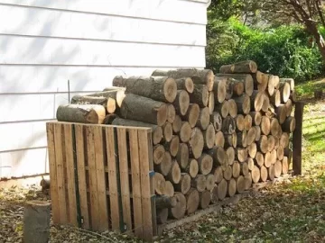 [Hearth.com] My Firewood Haul