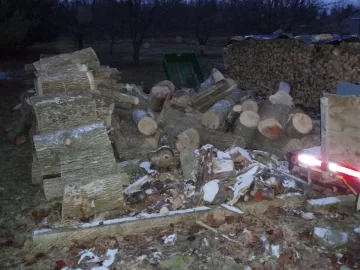 [Hearth.com] Neighbor Having Ash Tree's Cut(Update 12/5)