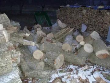 [Hearth.com] Neighbor Having Ash Tree's Cut(Update 12/5)