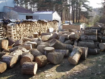 [Hearth.com] A lot of ash(Update: spent a couple hours splitting today)