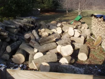 [Hearth.com] A lot of ash(Update: spent a couple hours splitting today)