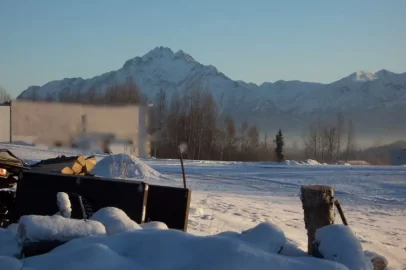 [Hearth.com] Splitting wood with a view