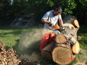 [Hearth.com] Best way to buck large logs?