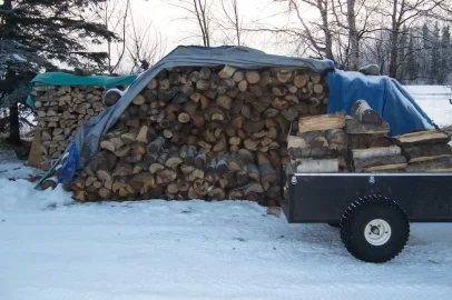 [Hearth.com] Load the house wood box (pics)