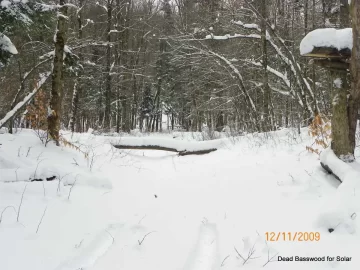 [Hearth.com] Checking the Trail this morning