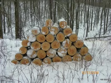 [Hearth.com] Some Cherry I cut up today.