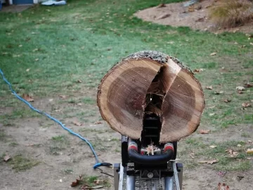 [Hearth.com] Cleared some land to let more sun in and ended up with 1.5 cord!