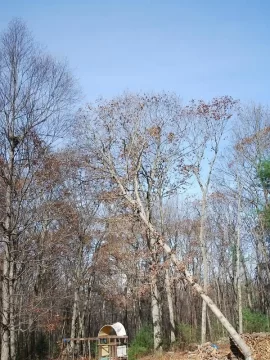 [Hearth.com] Cleared some land to let more sun in and ended up with 1.5 cord!