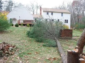 [Hearth.com] Cleared some land to let more sun in and ended up with 1.5 cord!