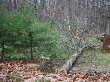 [Hearth.com] Cleared some land to let more sun in and ended up with 1.5 cord!