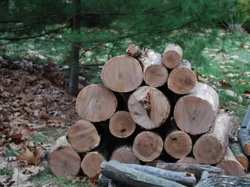 [Hearth.com] Cleared some land to let more sun in and ended up with 1.5 cord!